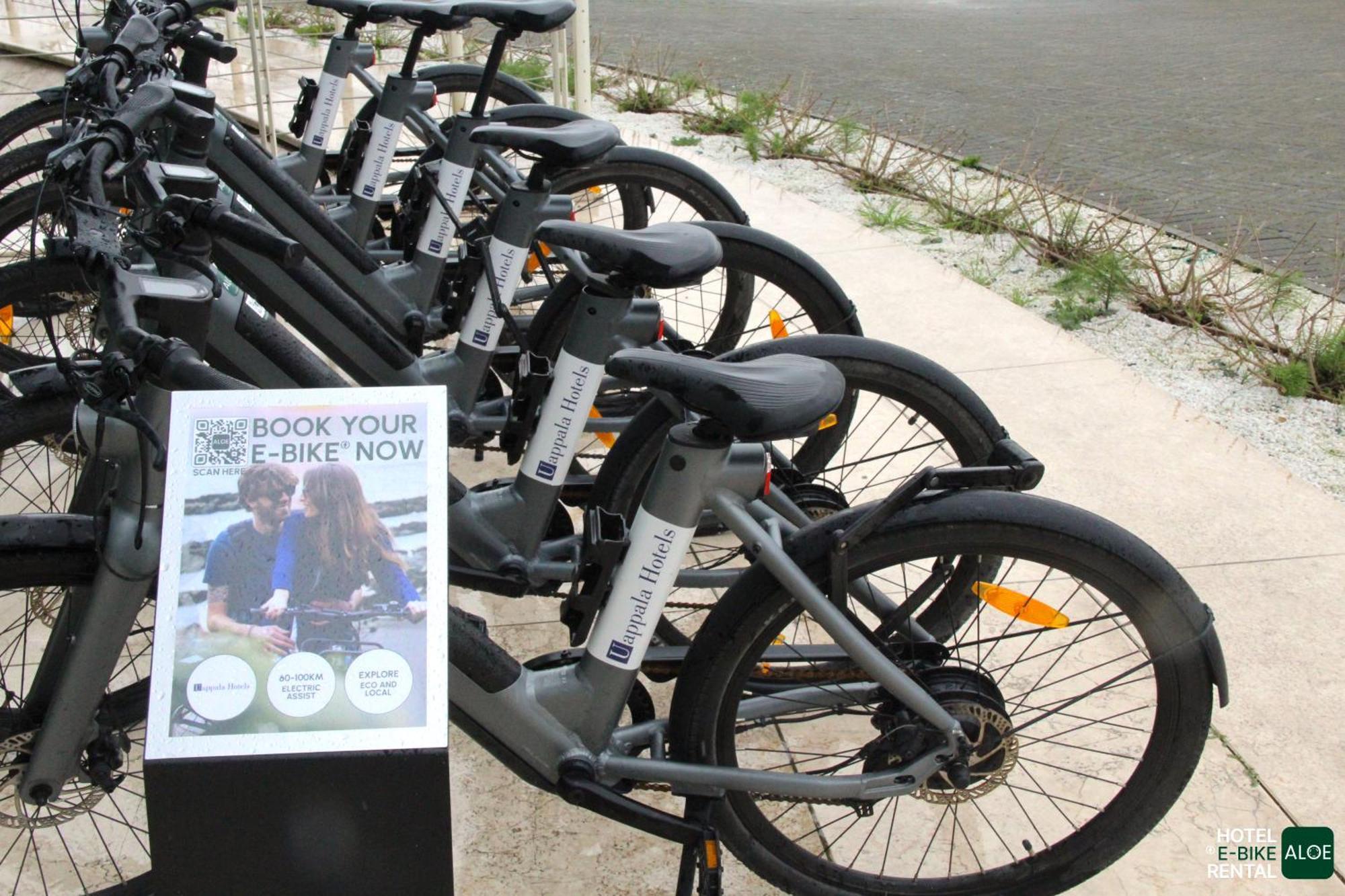 Pisa Tower Plaza Hotel Exterior foto Free bikes for students